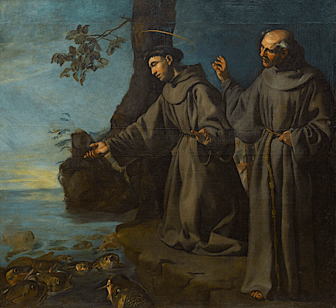 ANTHONY &amp; FISHES